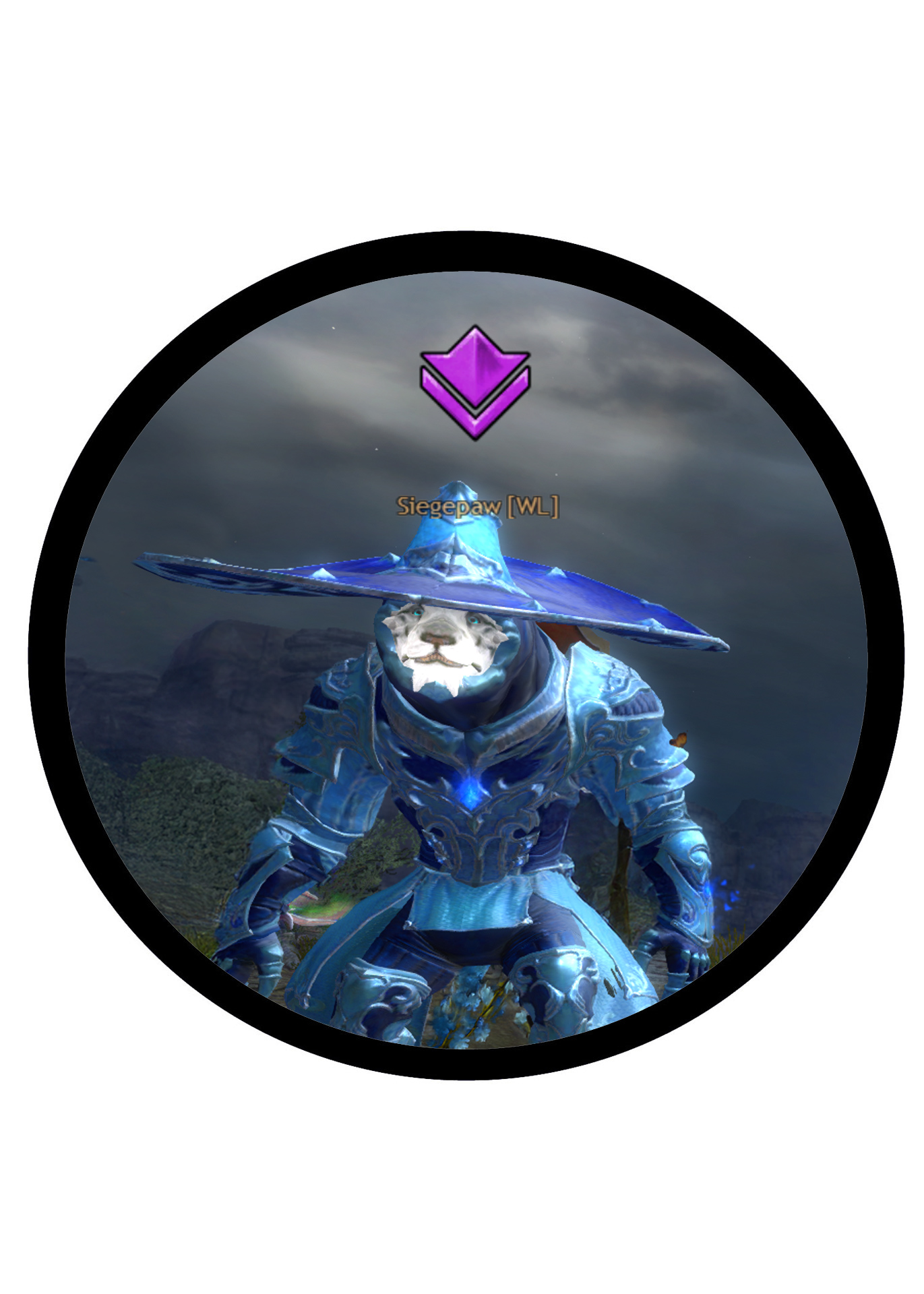 Kayowin (Siegepaw)