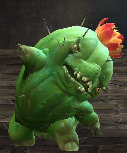 Choya with a flower on its head dancing