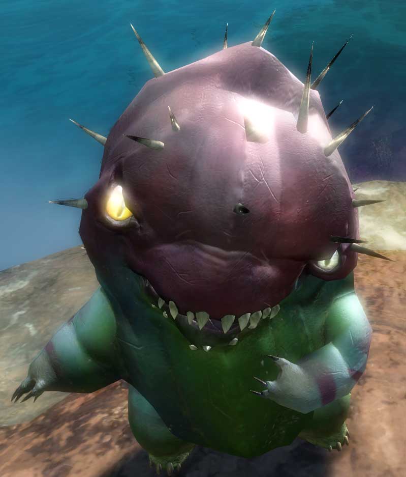 Choya