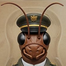 Commander Cricket